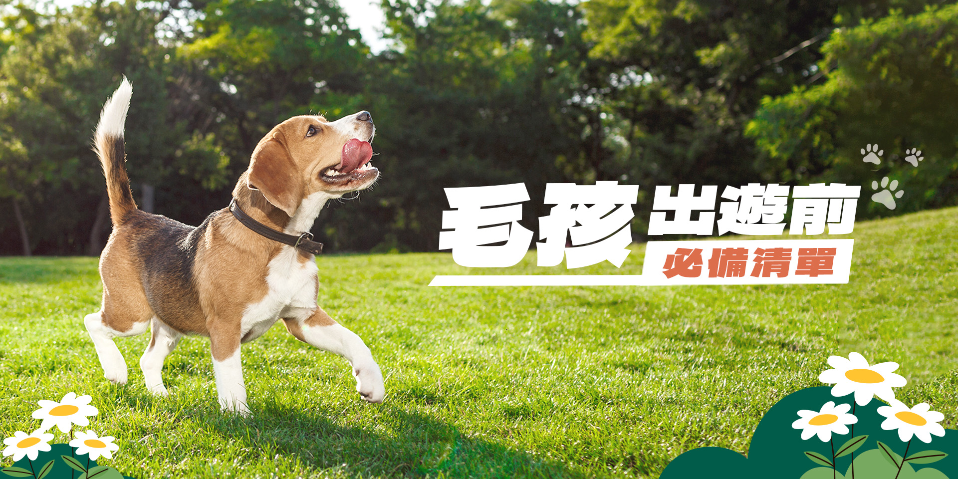 DUDUPAY、BoBoPay、理性分期、東元資融