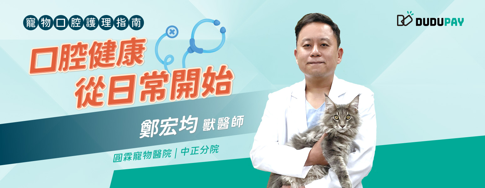 DUDUPAY、BoBoPay、理性分期、東元資融